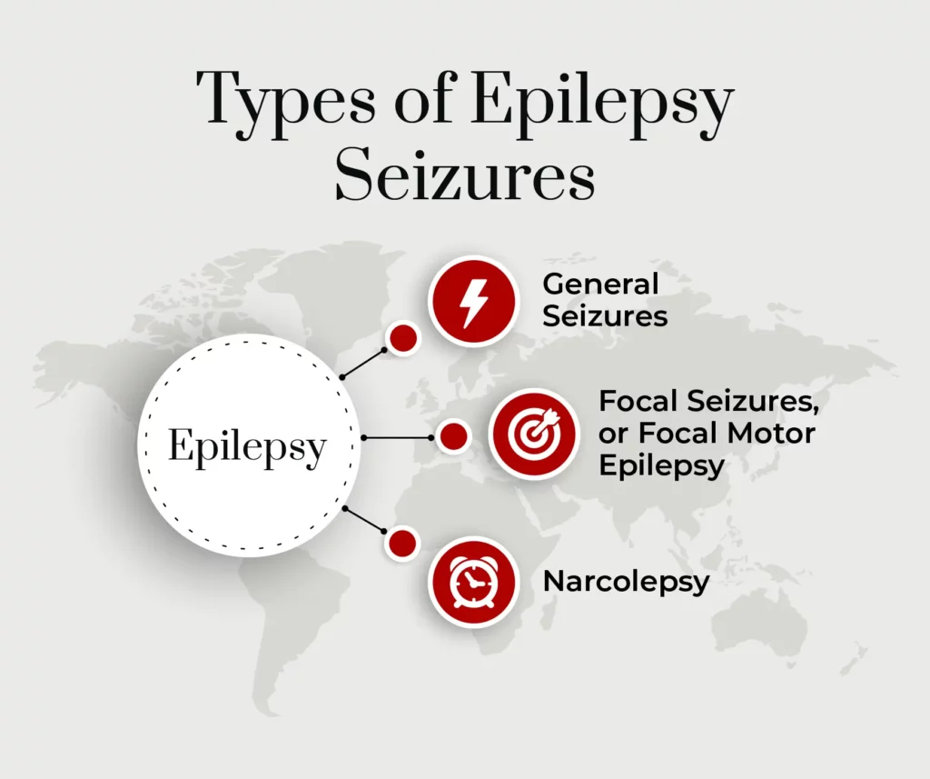 An infographic listing different types of epilepsy seizures.