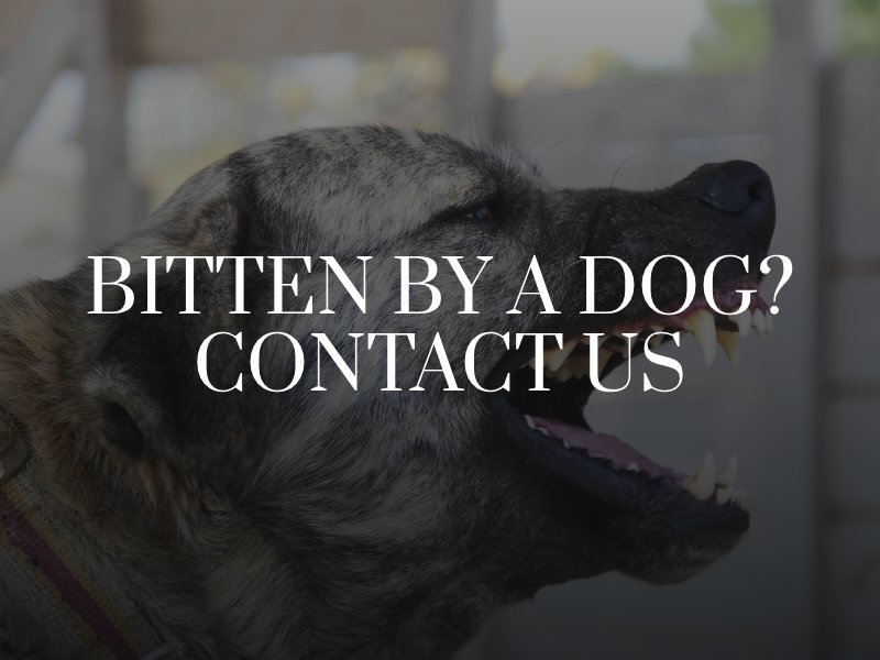 Scottsdale Dog Bite Attorney