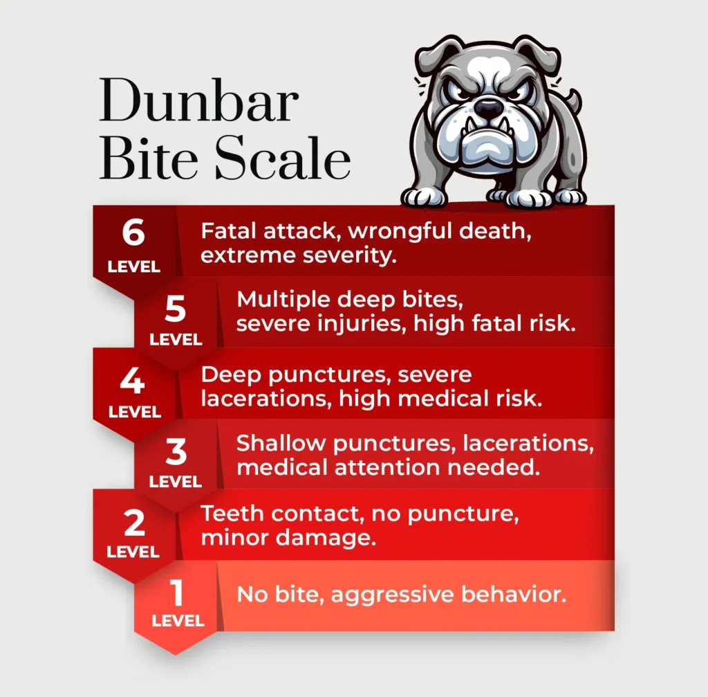 An Infographic describing the Dunbar Bite Scale.