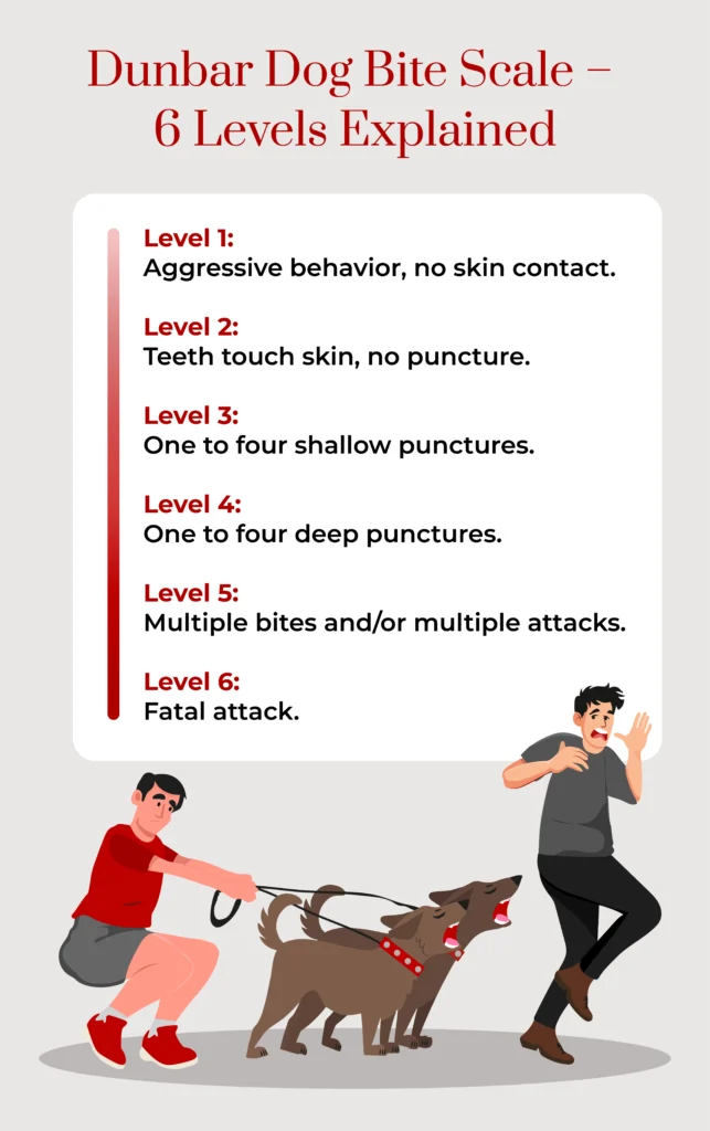 A custom graphic describing level 6 dog bites. 